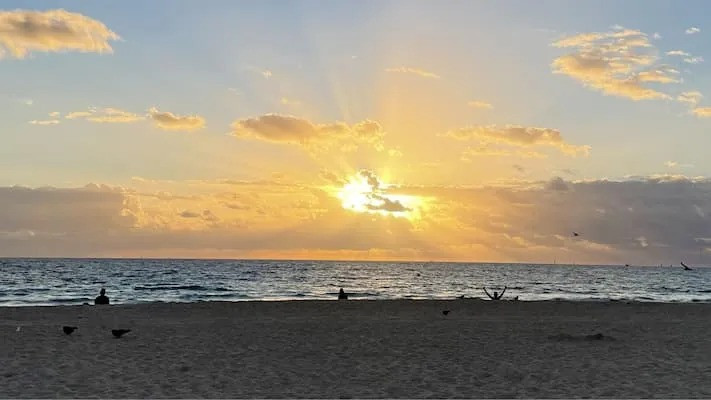 Access to Specialized Therapy Grows with Telehealth Expansion